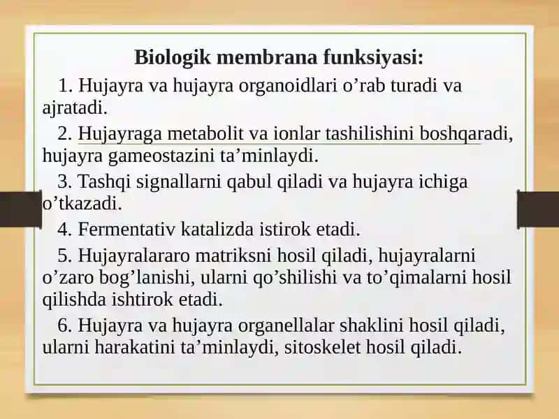 Baxtiyorova Jasminaning biokimyo fanidan mustaqilishi 3