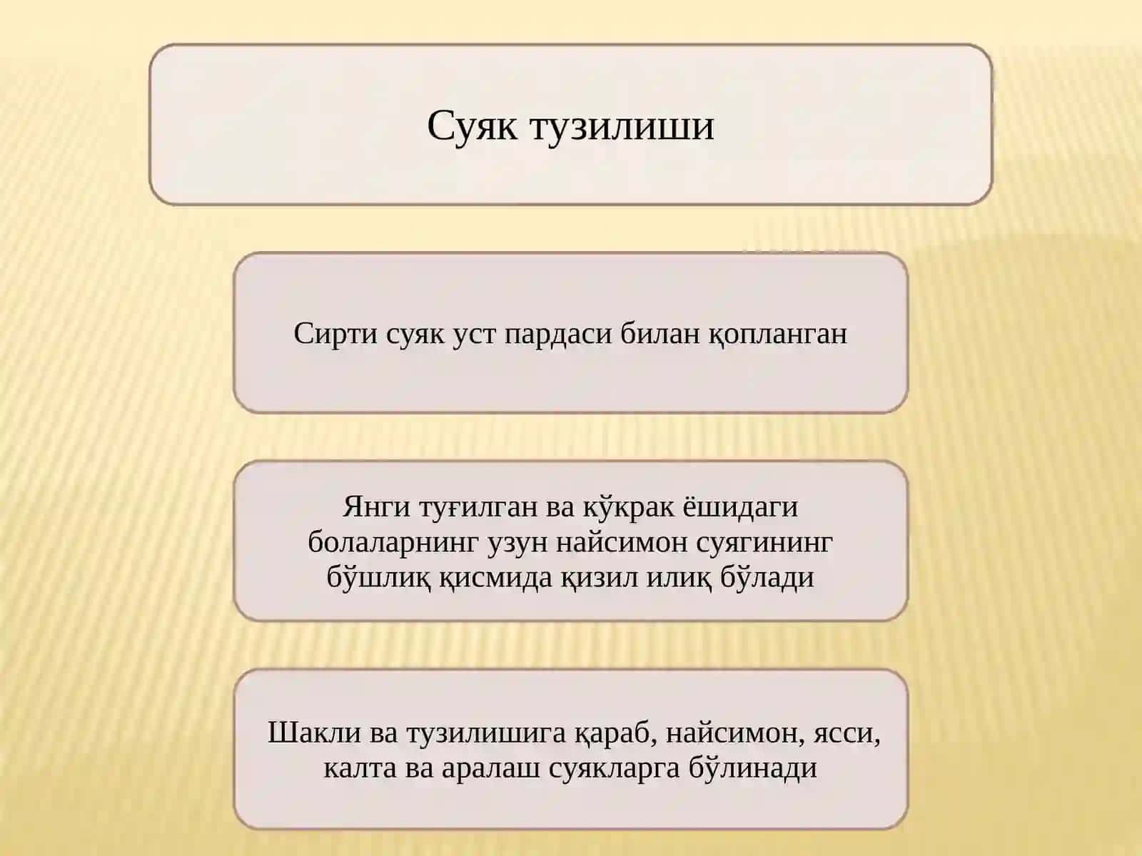 ТАЯНЧ – ҲАРАКАТ ТИЗИМИНИНГ ЁШ ХУСУСИЯТЛАРИ ВА ГИГИЕНАСИ 3