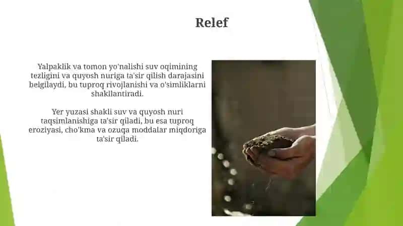 Tuproq hosil bo'lish jarayonidagi asosiy omillar 3