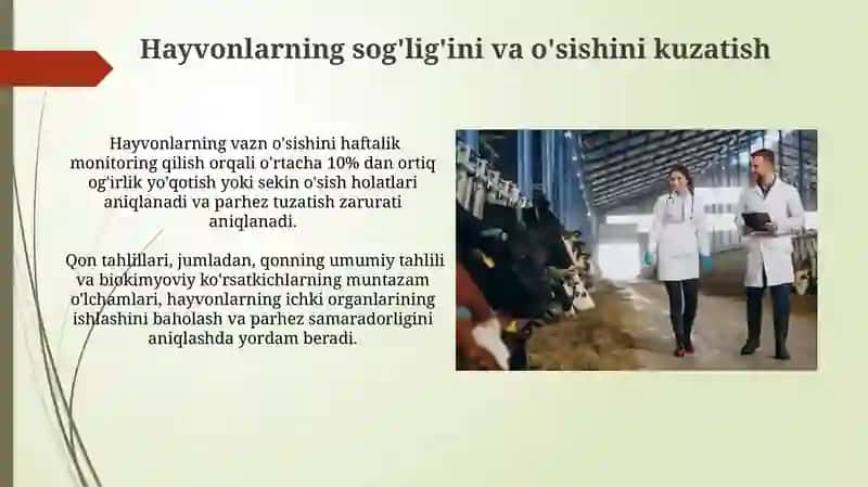 Laboratoriya hayvonlari uchun mustaqil ratsion tuzish 3