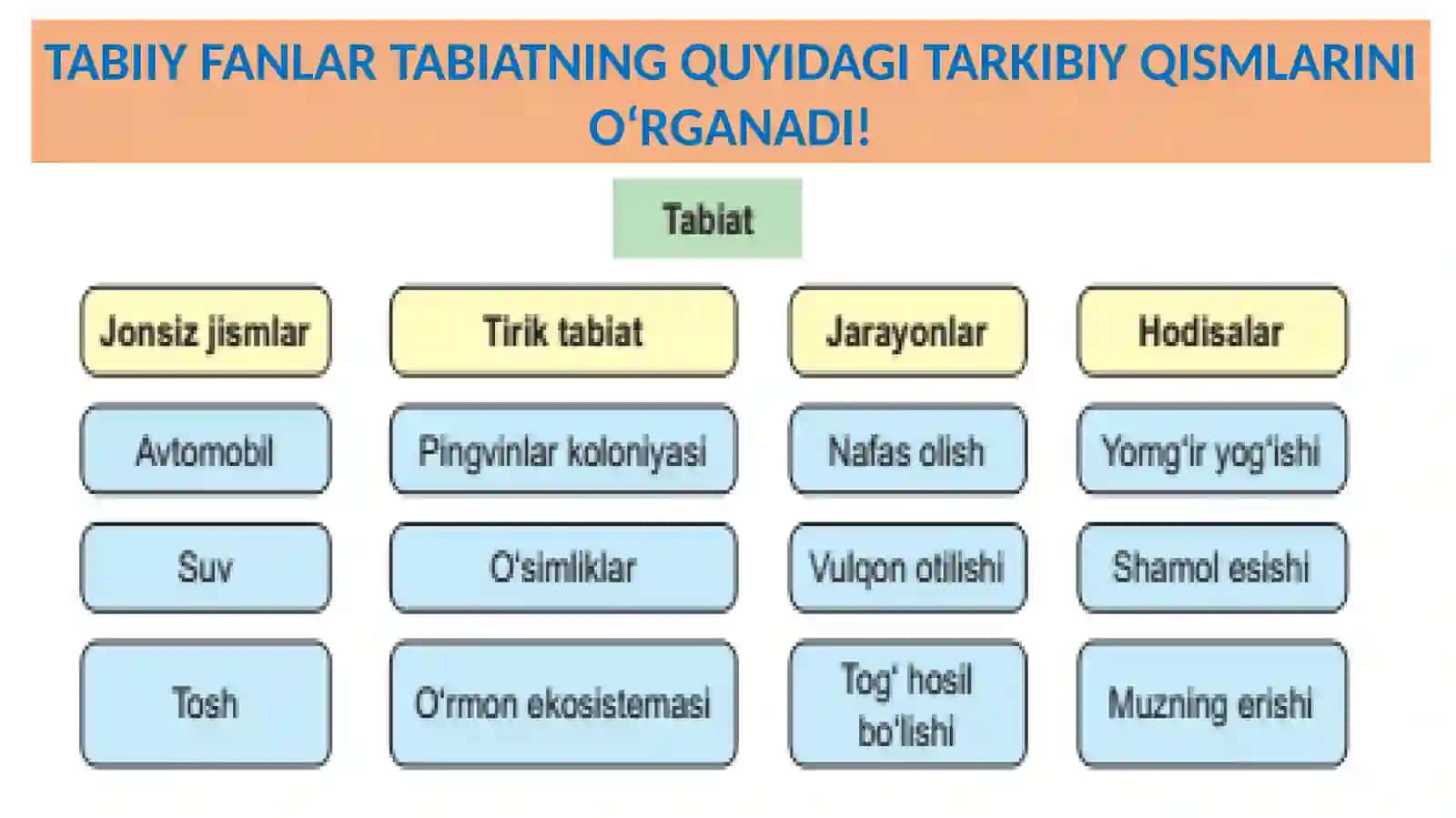 Tadqiqot Obyekti 3