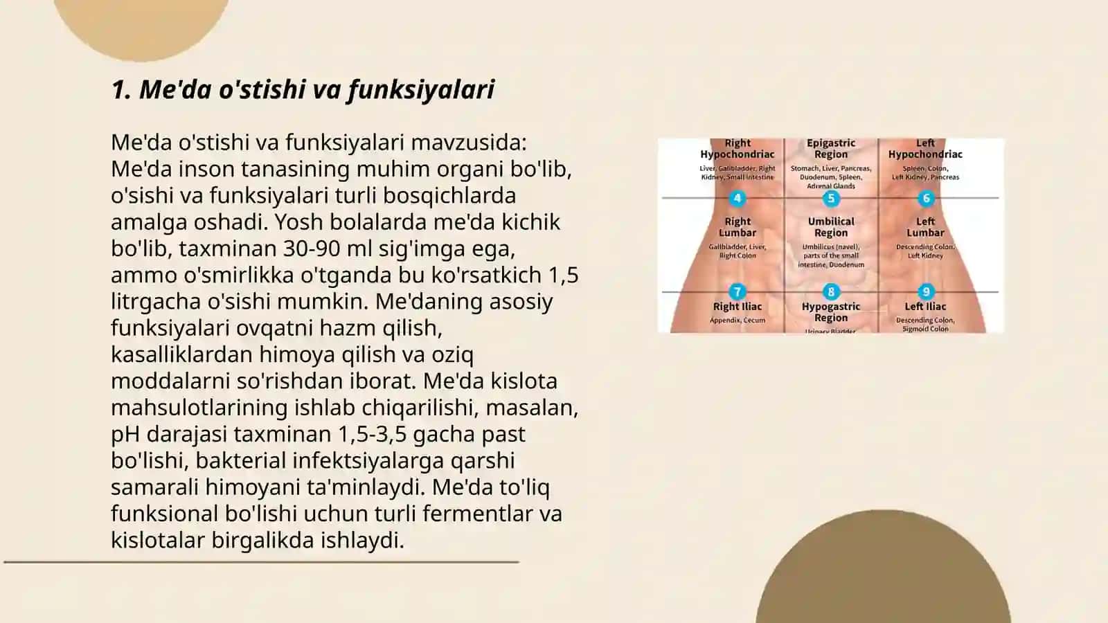 Me'da o'stishi va funksiyalari 3