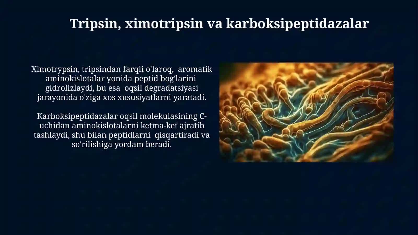 Oqsillarni oshqozon-ichak yo’lida ferment ta’sirida parchalanishi 3