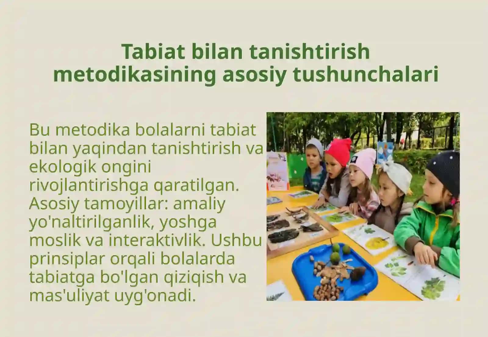 Bolalarni maktabga tayyorlashda tabiat bilan tanishtirish metodikasining roli 3