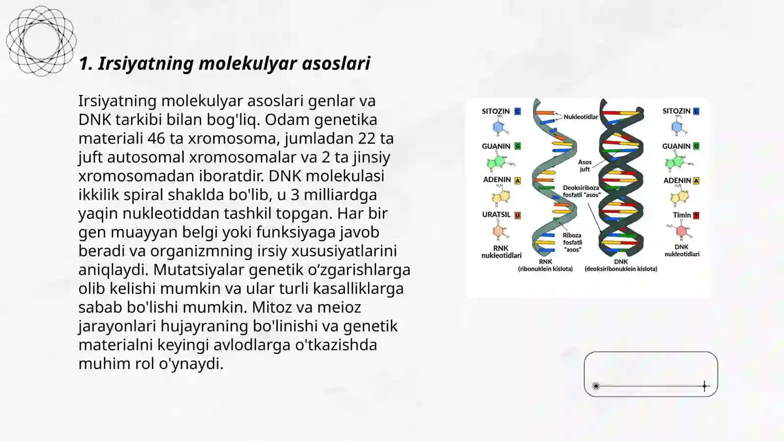 Irsiyatning molekulyar asoslari 3