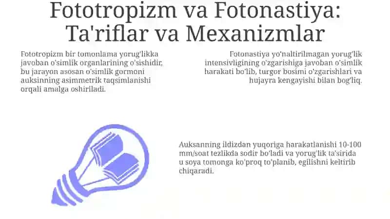 Fototropizm va Fotonastiya: Ta'riflar va Mexanizmlar 3