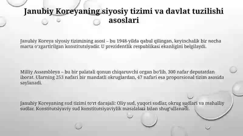 Koreya respublikasining siyosiy tizimi va davlat tuzilishi 3