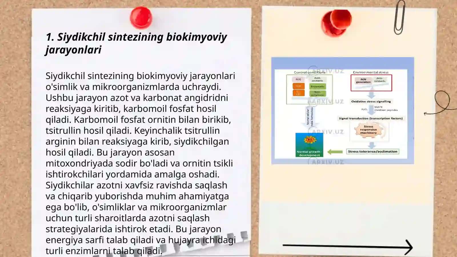 Siydikchil sintezi va chiqarilishning buzilishi, reaksiyalari 3