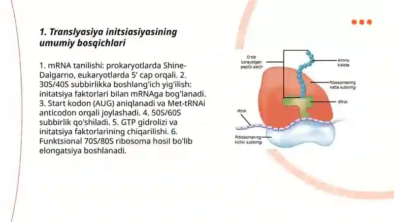 Translyasiya initsiasiyasi 3