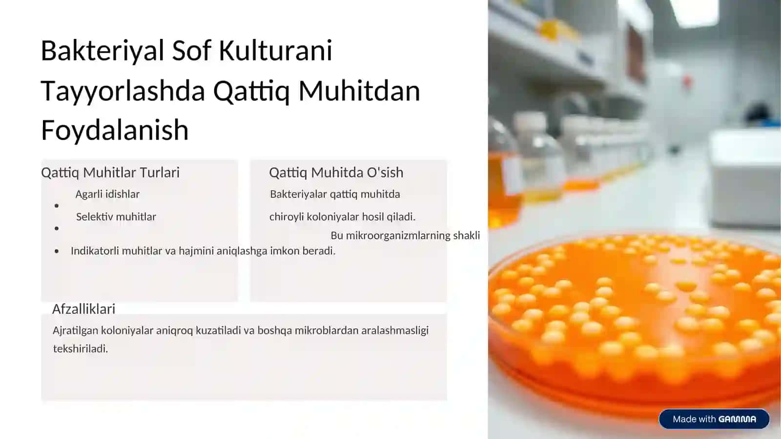 Tugunak Bakteriyalarni Sof Kulturasini Ajratish va Bakterial Preparatlar Tayyorlash 3