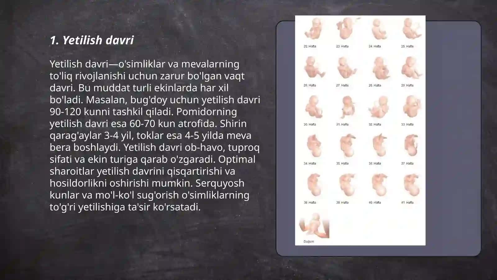 Postembrional rivojlanish 3
