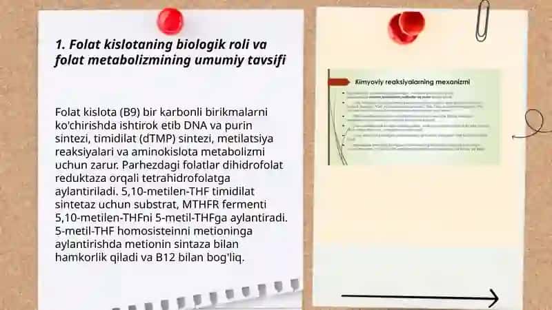 Folat kislotaning yetishmovchiligi.Sulfanilamid preparatlarni baktriostatik tasir mexanizmi 3