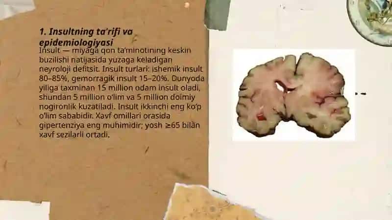 Insult etiologiyasi, tasnifi va inslutlarda birinchi yordam algoritmi 3