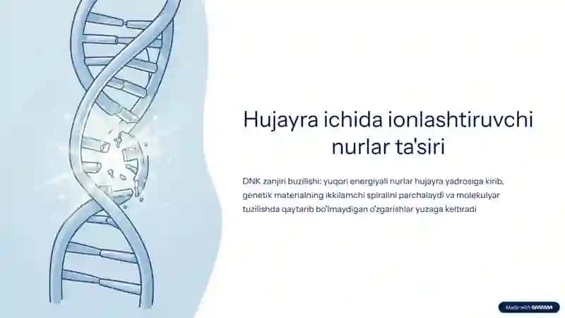 Ionlashtiruvchi nurlar biologik to'qimalarga ta'siri 3