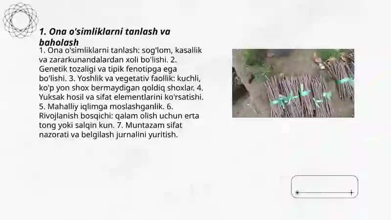Qalamchalarni tayorlash ularni saqlash 3