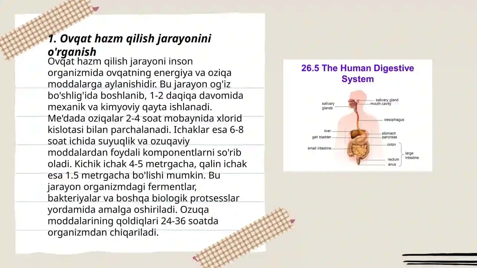 Ovqat hazm qilish aʼzolari tizimini baholash 3