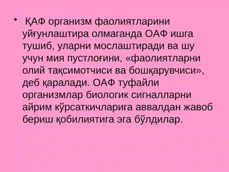Олийасабфаолияти (ОАФ) 3