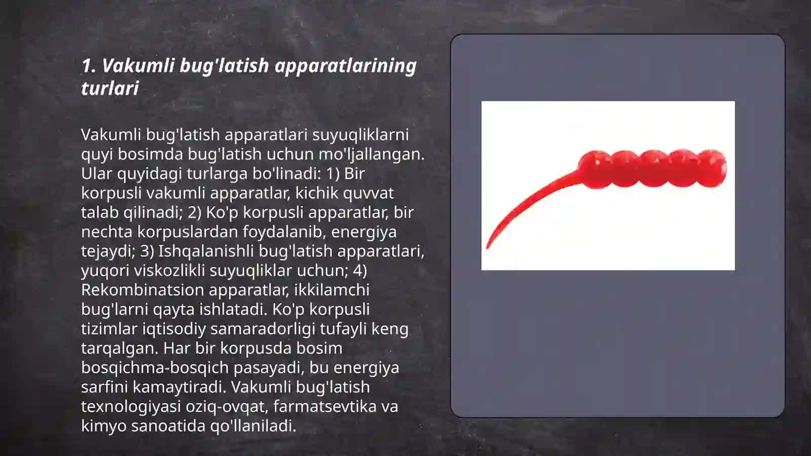 Vakumli Bug'latish apparatlari 3