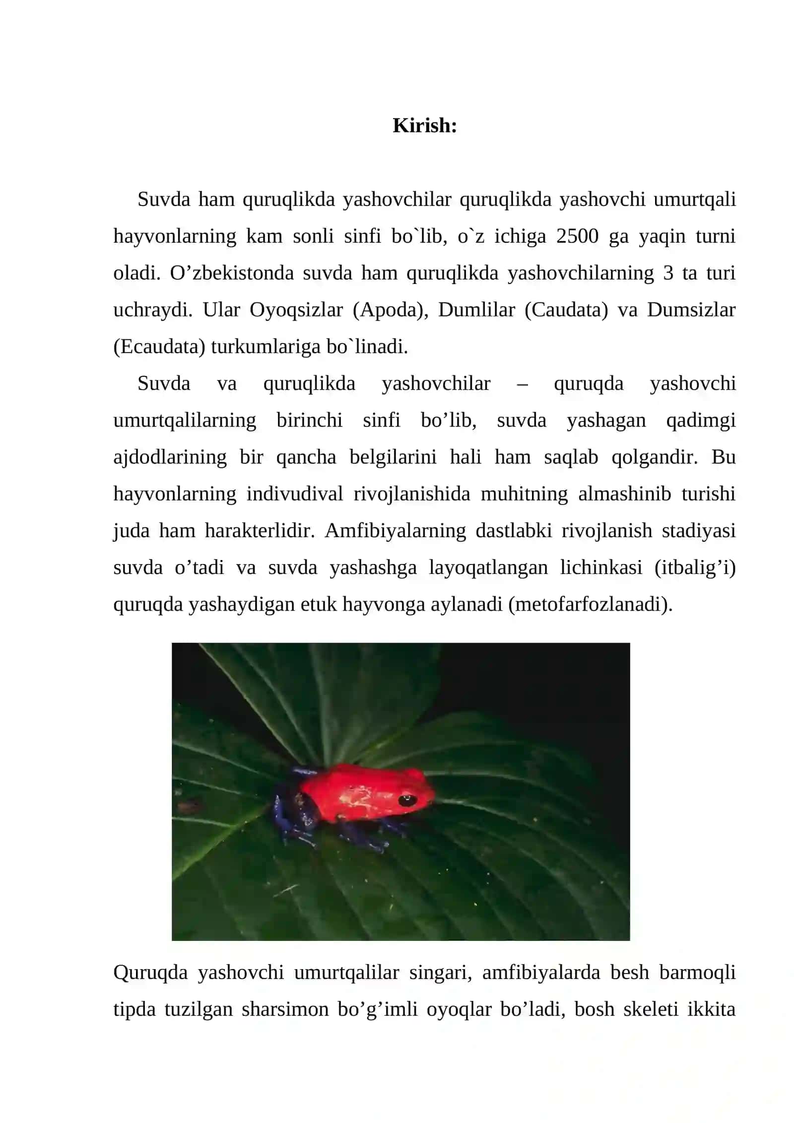 "Zoologiya" fanidan kurs ishi 3