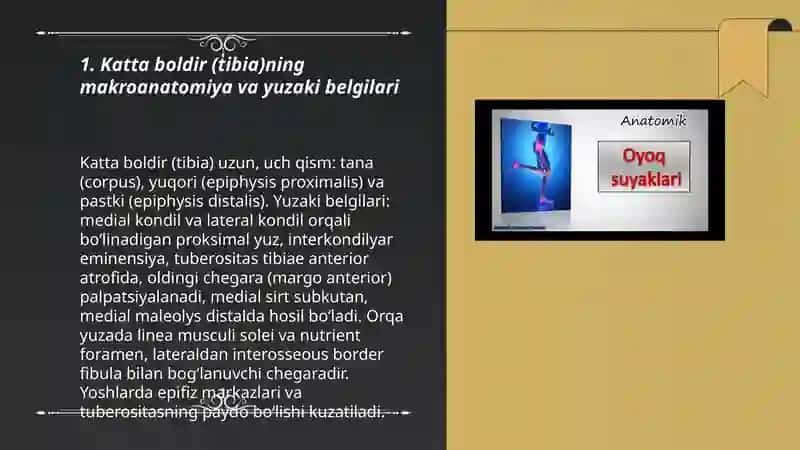 Oyoqning erkin qismi suyaklaridan katta va kichik boldir,oyoqning kaft va kaft usti suyaklarining tuzilishi va ularning yoshga doir xususiyatlari 3