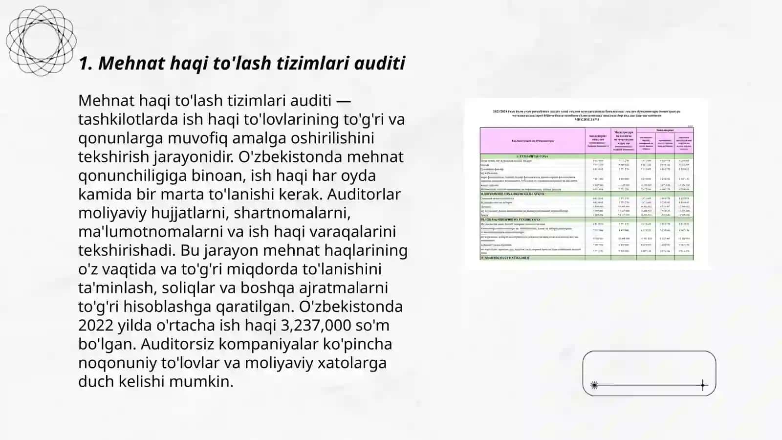 Mehnat haqi to'lash tizimlari auditi 3
