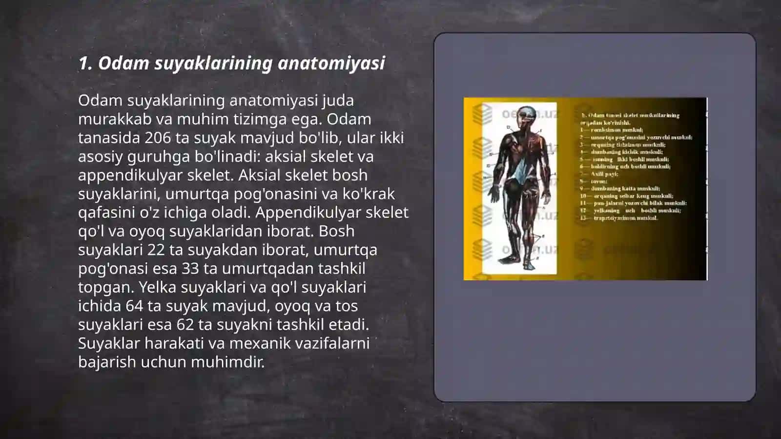 Odamsuyaklarini oʻrganish 3
