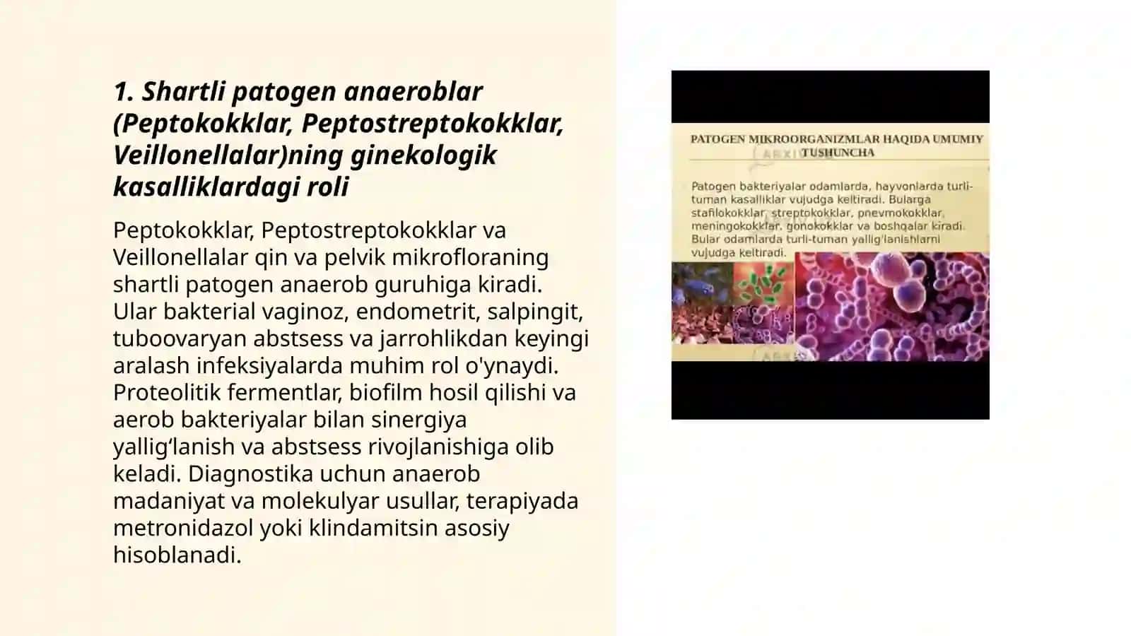 Shartli patogen anaeroblar (Peptokokklar, Peptostreptokokklar, Veillonellalar)ning ginekologik kasalliklardagi roli 3