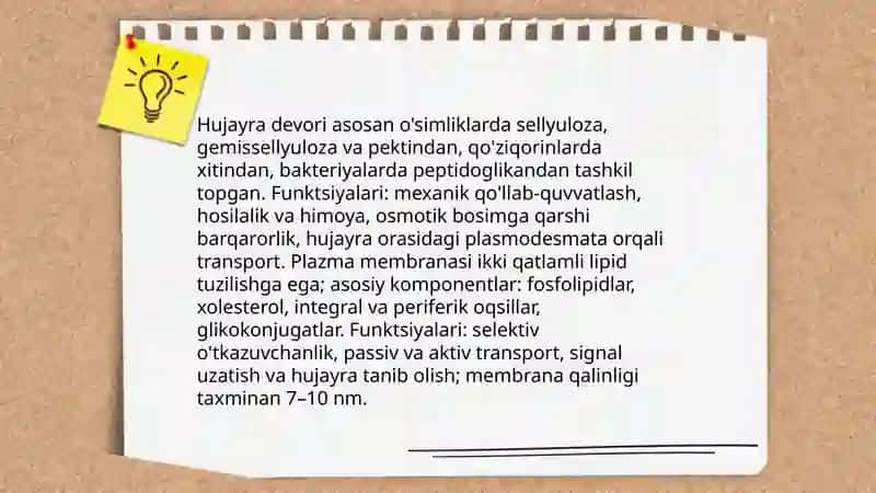 Hujayra tuzilishi.Hujayra nazaryasi.Hayvon va odam xromosomalarining morfofunksional xarakteriktikasi 3
