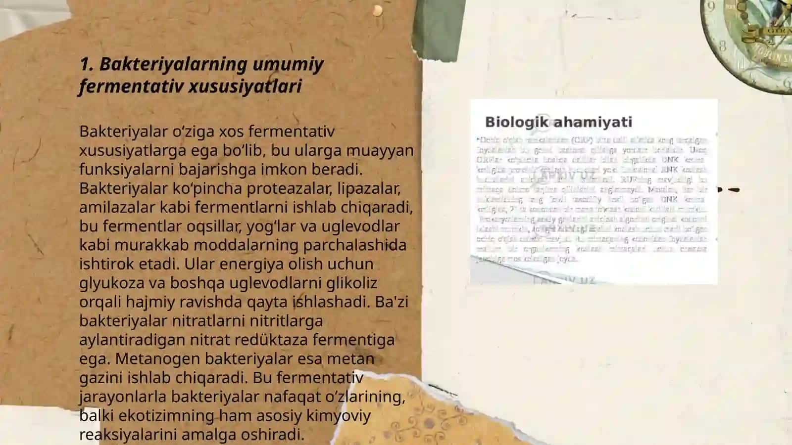 Bakteriyalarni fermentativ, biokimyoviy, serologic xususiyatlarini o’rganish, oziq muhitlar 3