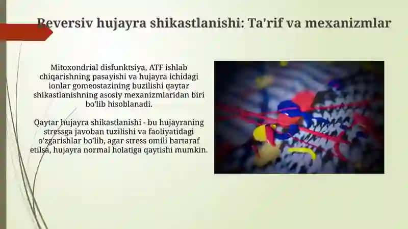 Harakatlanishning qaytar va qaytmas zararlanishi 3