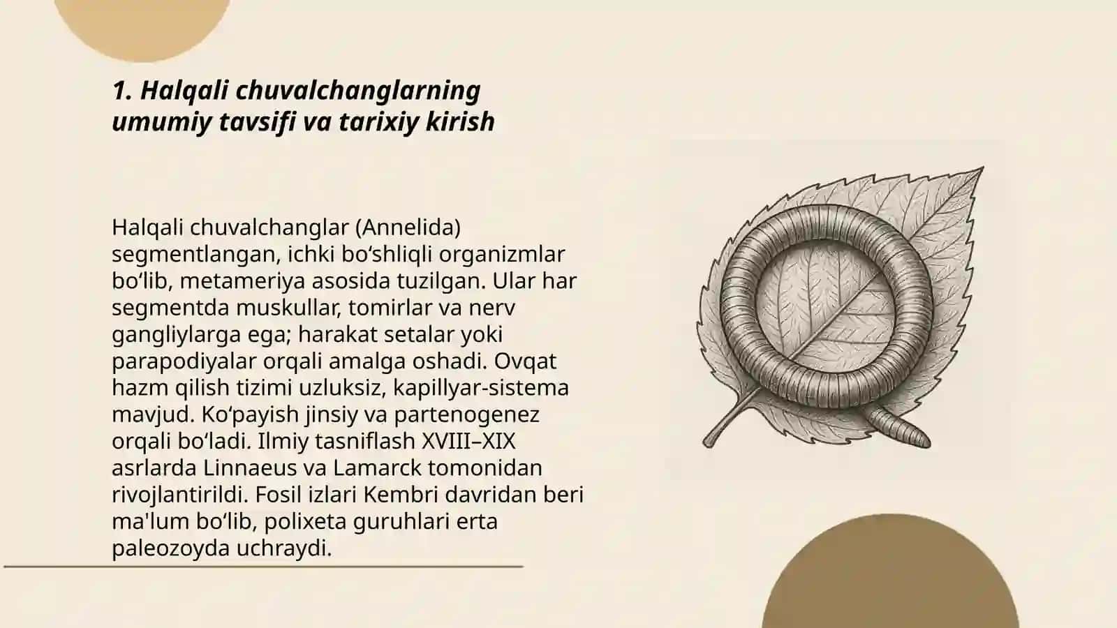 Halqali chuvalchanglar tipi vakillarining umumiy tavsifi va klassifikatsiyasi 3