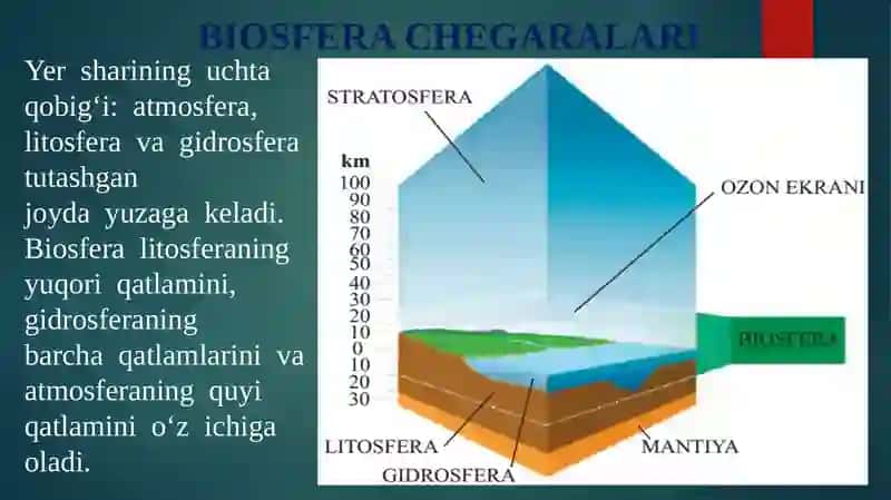 HAYOTNING BIOSFERA DARAJASINING UMUMBIOLOGIK QONUNIYATLARI 3