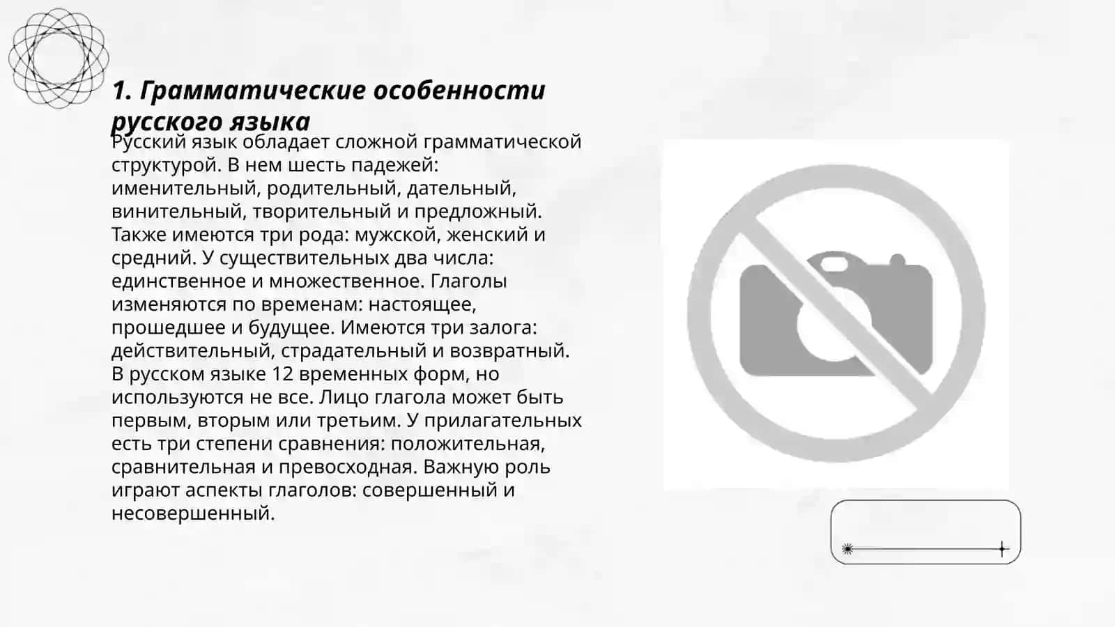 Грамматические особенности русского языка 3