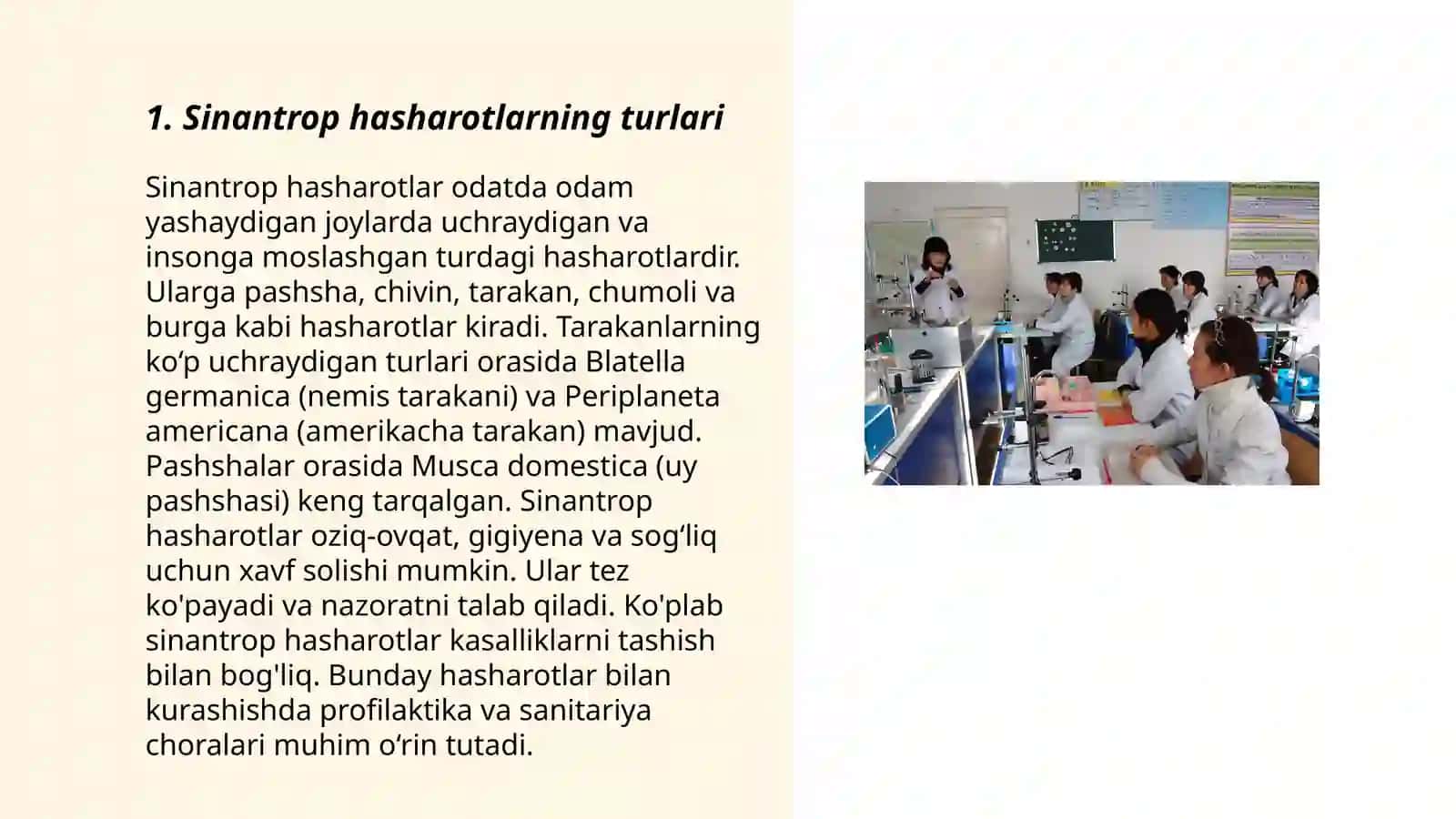Sinantrop ko‘rinishidagi hasharotlar,ularning epidemiologik ahamiyati 3