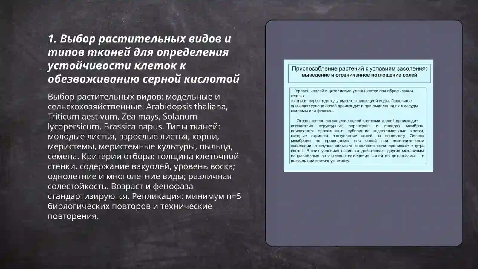 Определение устойчивости клеток различных растений к обезвоживанию серной кислотой 3