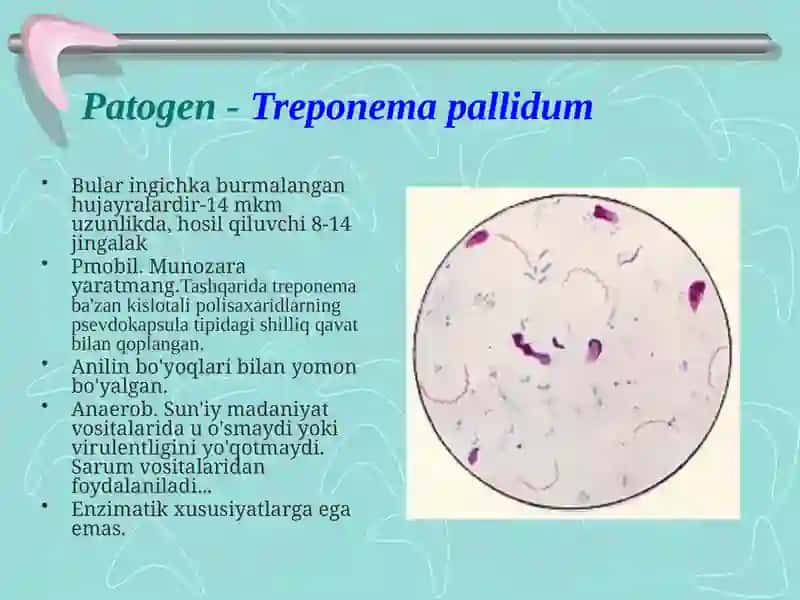 Patagen xlomidiyalar qo'zg'atuvchi kasalliklari.Mikoplazma qozg'atuvchisi 3