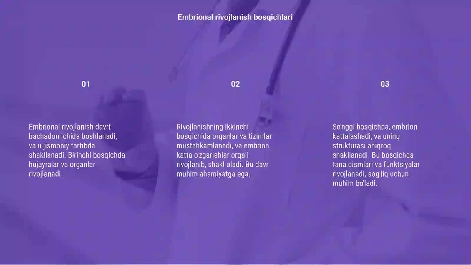 Embrional rivojlanish davri 3