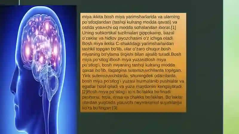 BOSH MIYA 3