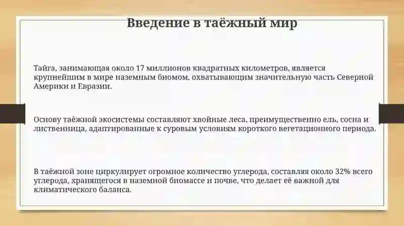 Поездка в таежный лес 3