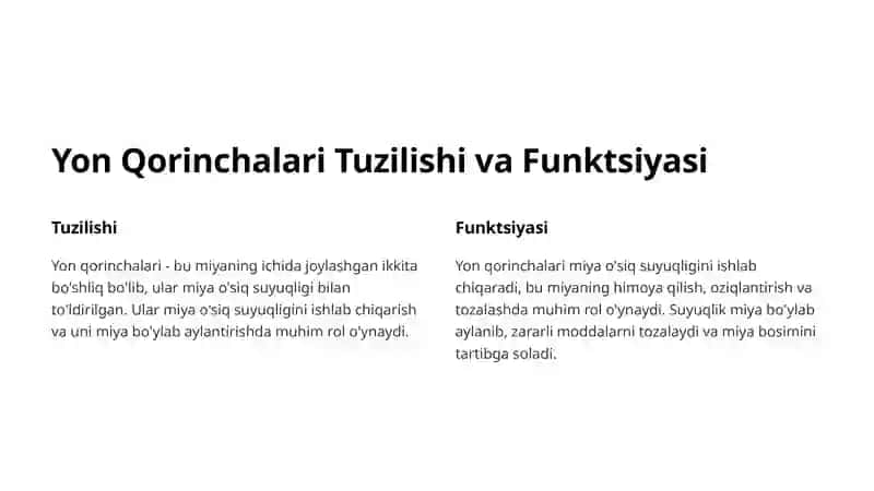 Yon qorinchalari variant anatomiyasi 3