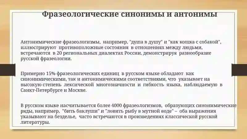 Лексическое богатство русского языка (синонимы, антонимы, омонимы) 3