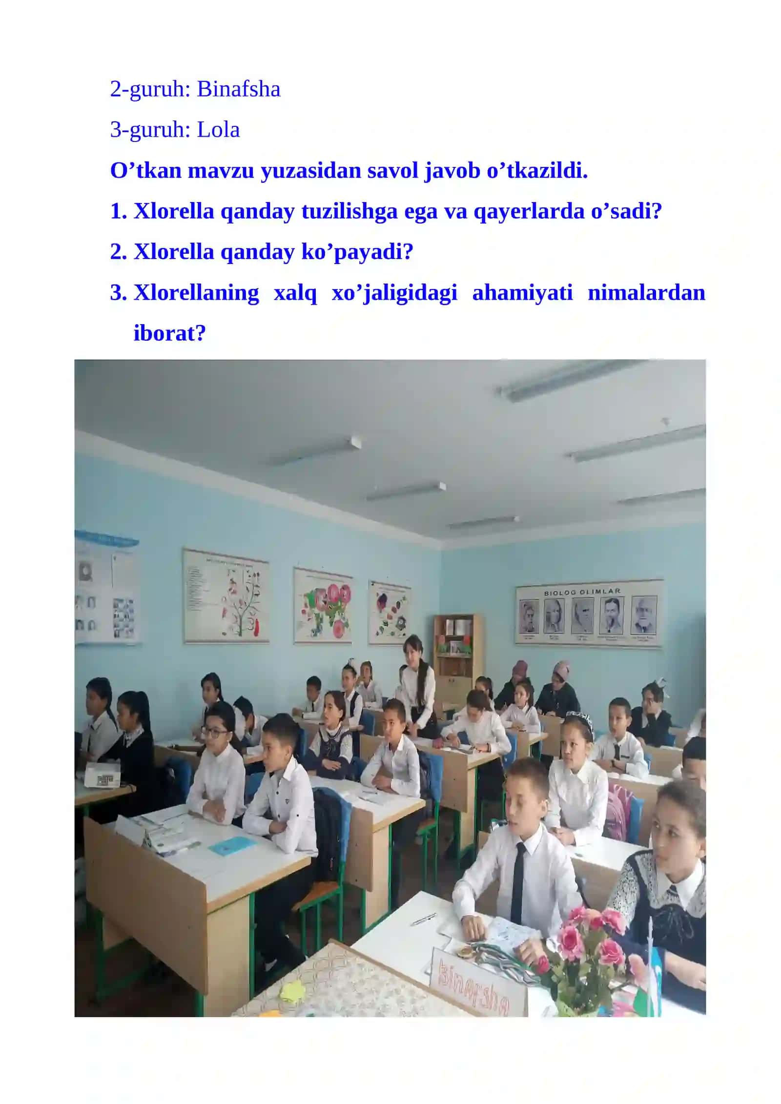 Qo’ng’ir va qizil suvo’tlar bo’limlari 3