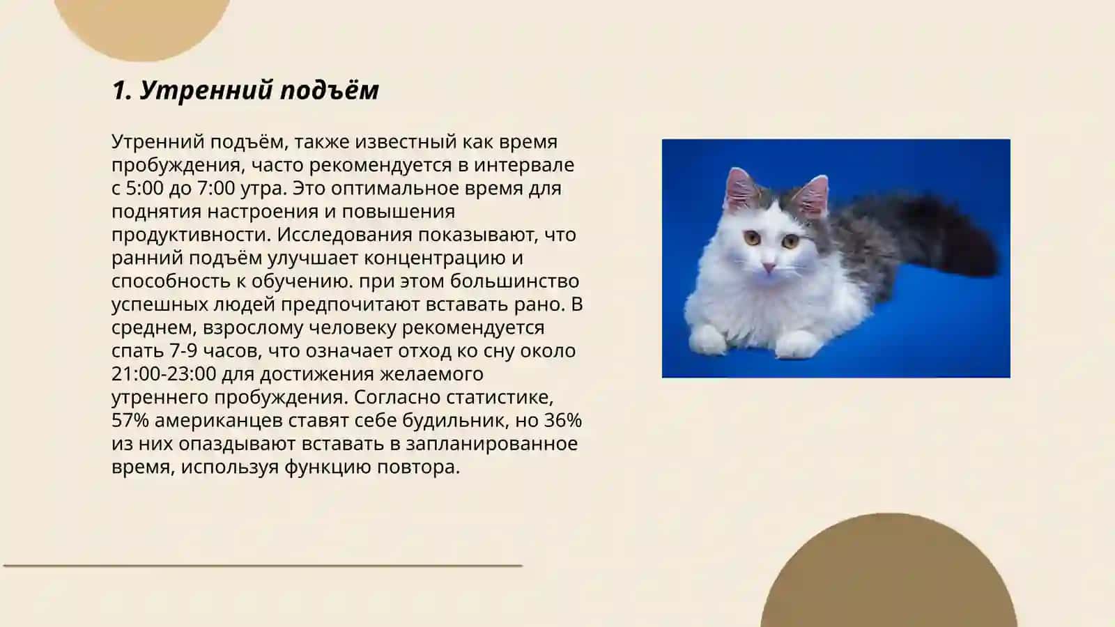 Moй идеальный день 3