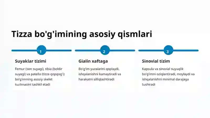 Tizza bo'g'imi 3