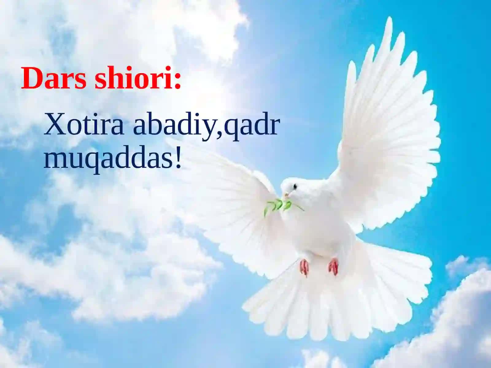 Kaptarlar haqida qiziqarli ma’lumot 3
