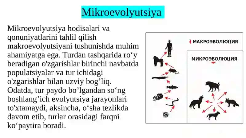 Mikroevolyutsiya.Makroevolyutsiya.Biologikprogres 3