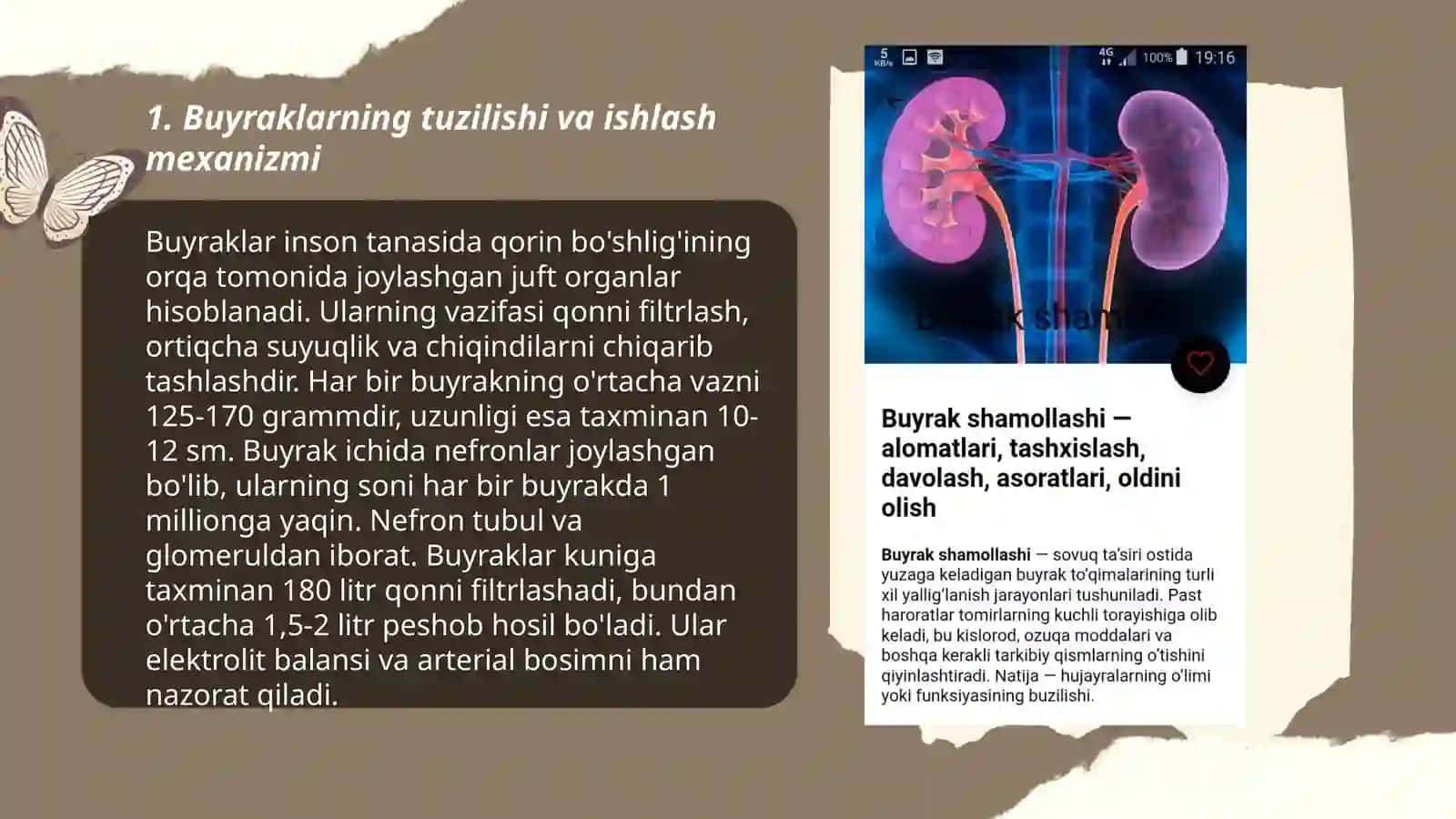Buyraklar faoliyatini oʻziga xosligi va "Buyraklar bosimi " 3