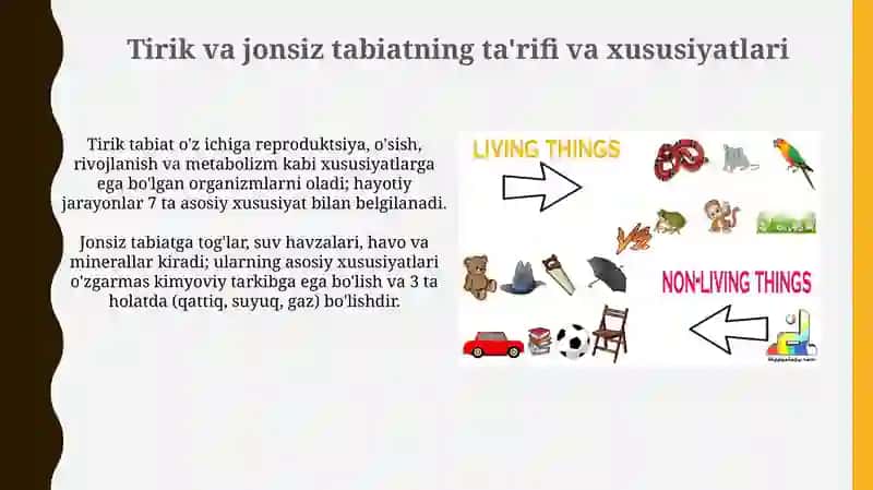 Tirik va jonsiz tabiatning ta'rifi va xususiyatlari 3