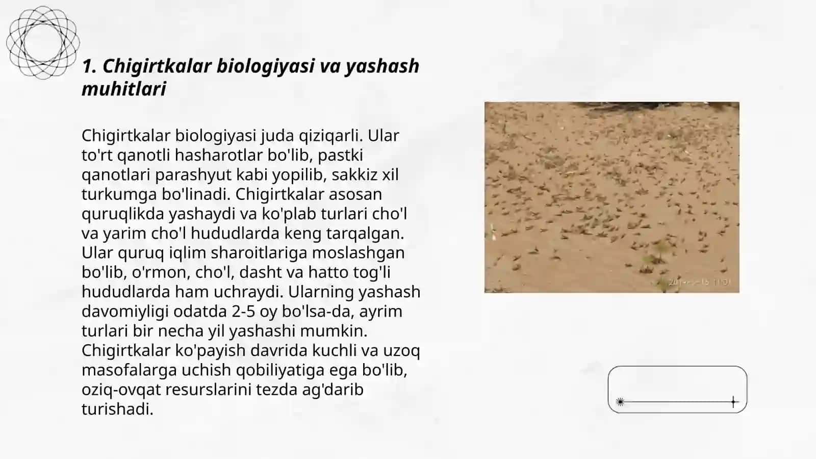 Chigirtkalar biologiyasi va yashash muhitlari 3