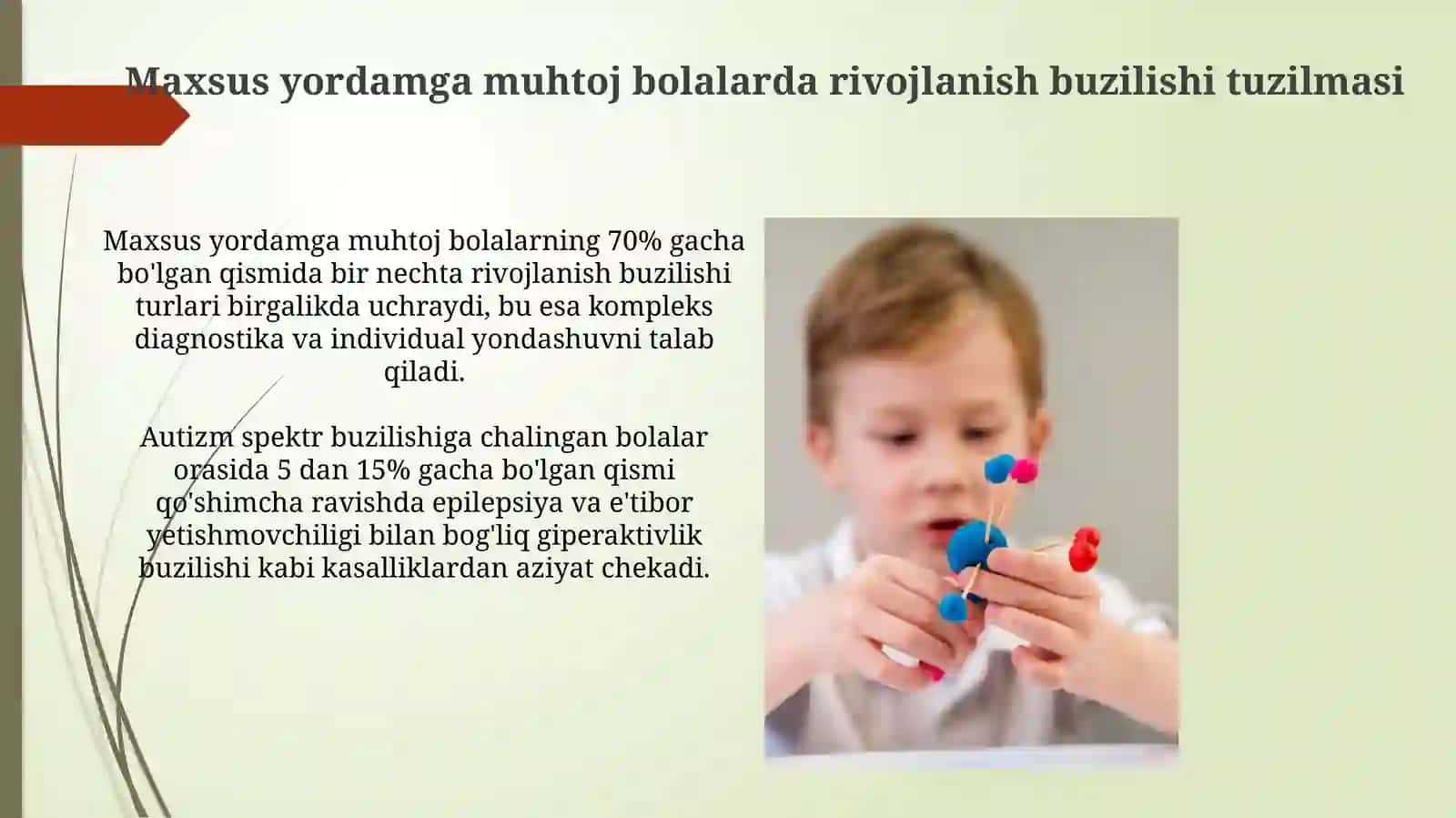 Maxsus yordamga muhtoj bolalarda rivojlanish buzilishi tuzilmasi 3